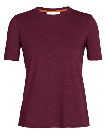 T Shirts Icebreaker Tencel Coton Corta Sleeve Femme Rose | FR 1597TCEV